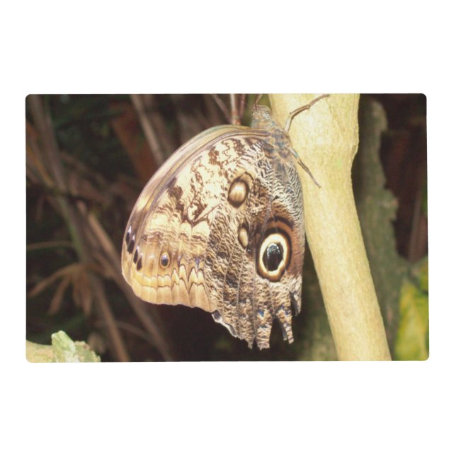 Owl Butterfly Placemat (Front)