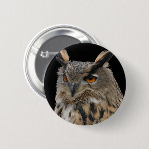Owl Button