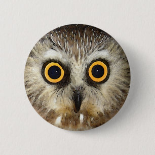 owl button