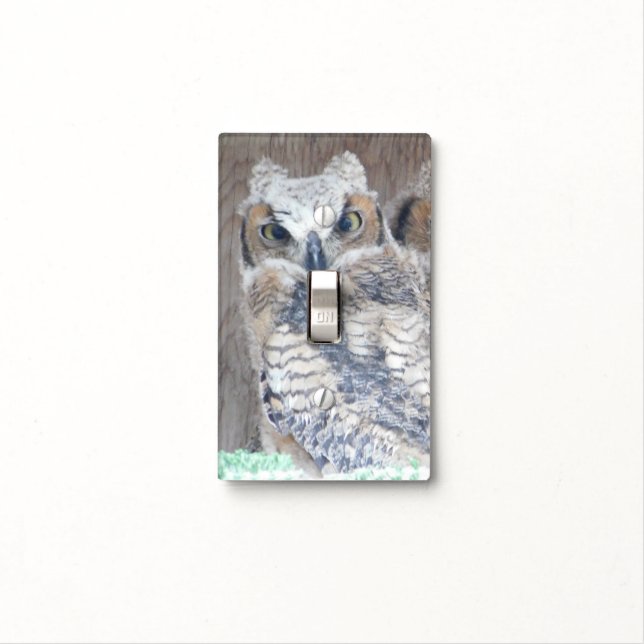 Owl Cabin Country Light Switch Plate Cover (In Situ)