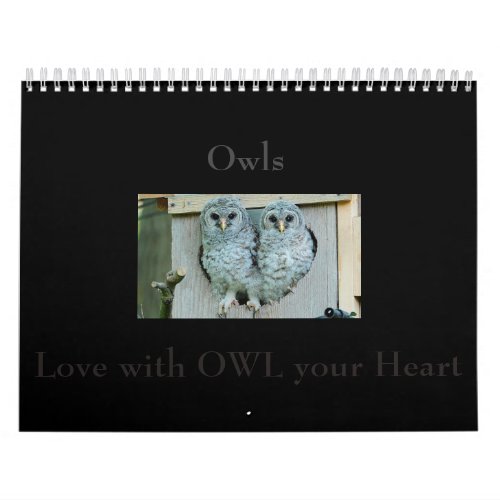 Owl Calendar Spend a year with BeautifOwl Photos Calendar