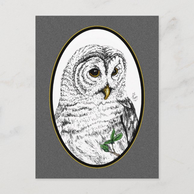 Owl Cameo Postcard (Front)