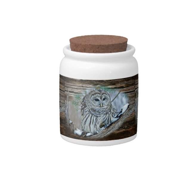 Owl Candy Jar (Front)