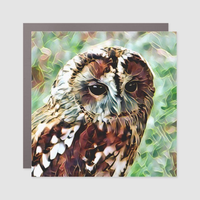 OWL CAR MAGNET (Front)