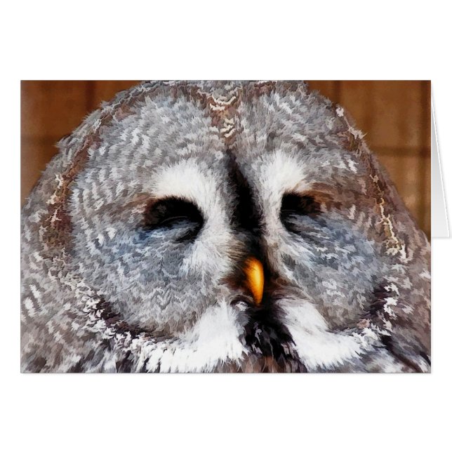 OWL CARD (Front Horizontal)