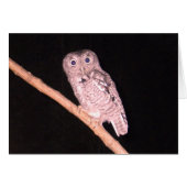Owl Card (Front Horizontal)