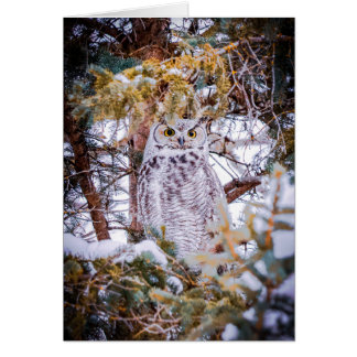 Owl Card