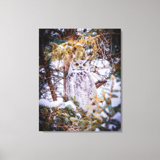 Owl Card Canvas Print