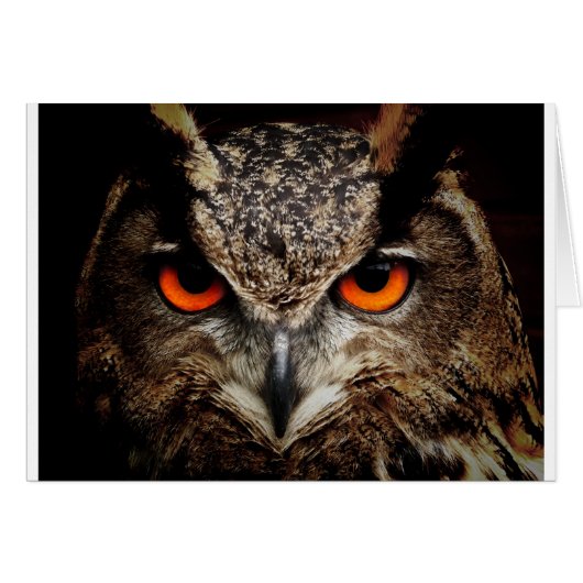 Owl Cards (Front Horizontal)