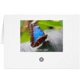 Owl Cards (Back Horizontal)