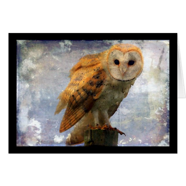 Owl Cards (Front Horizontal)