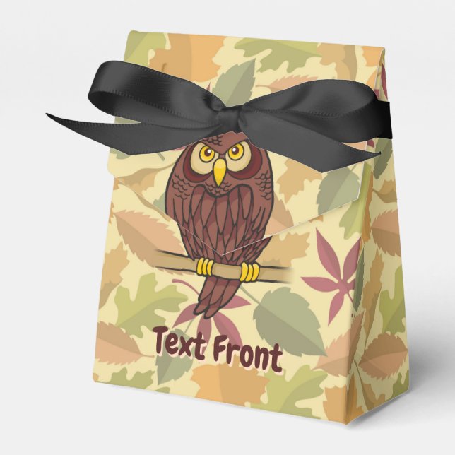 Owl Cartoon Favor Box (Front Side)