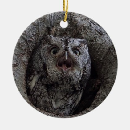 Owl Ceramic Ornament