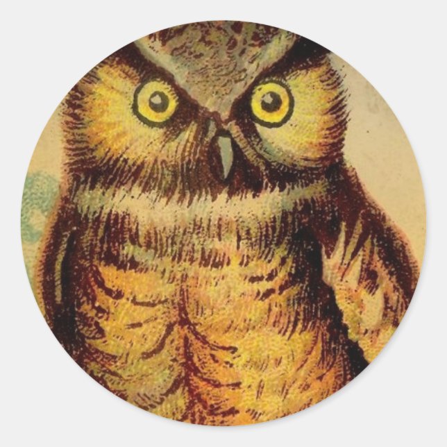 Owl Classic Round Sticker (Front)