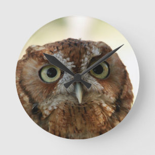 Owl Clock