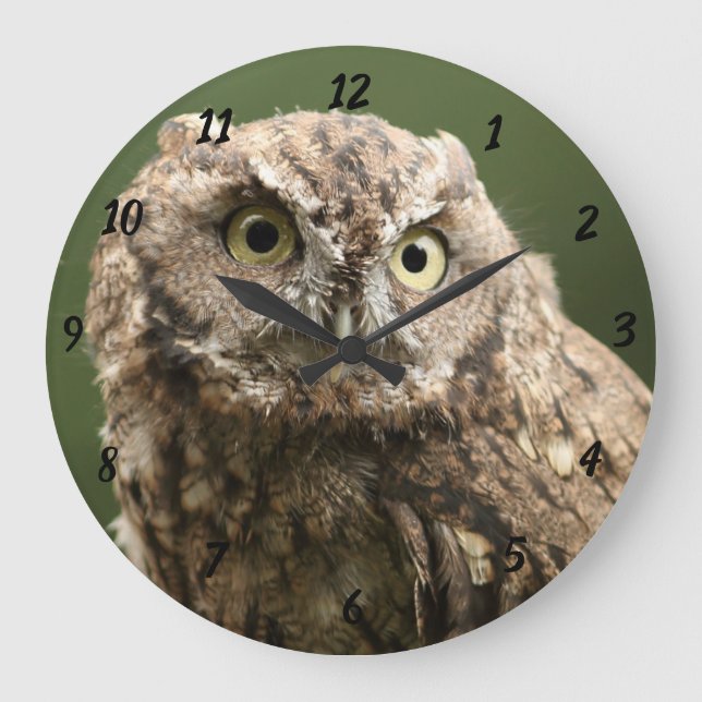 Owl Clock, Large Large Clock (Front)