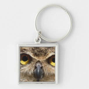 Owl Close-Up Keychain