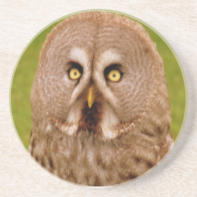 Owl Coaster (Front)