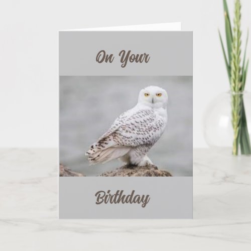 OWL COMEDIAN FOR WOOOOS BIRTHDAY CARD