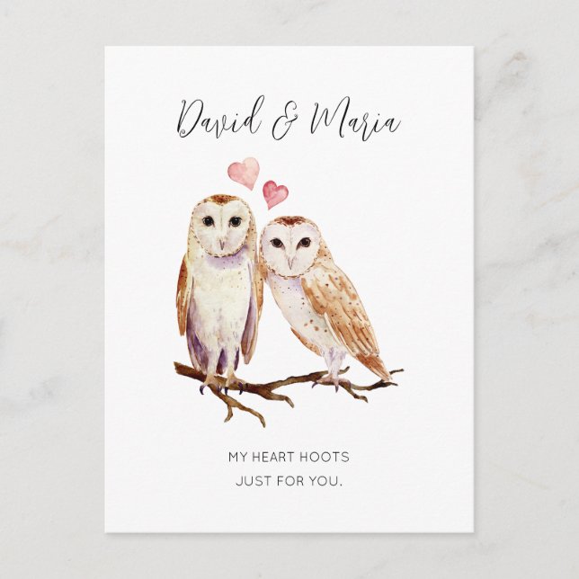 Owl Couple Love You Forever Anniversary Postcard (Front)