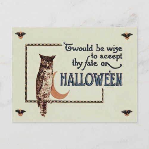 Owl Crescent Moon Postcard