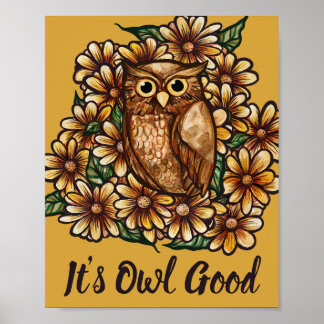 Owl daisies                                        poster