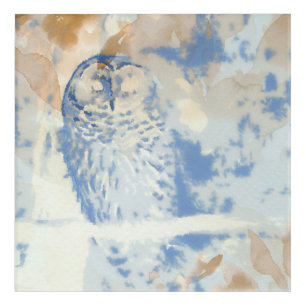 Owl [design] 12" x 12" Acrylic by Jason Street Print
