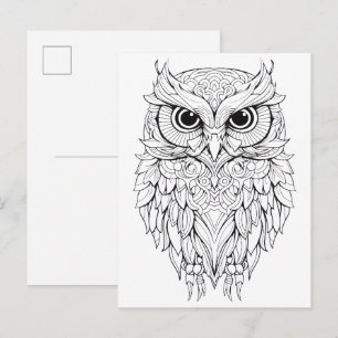 Owl doodle drawing.  postcard