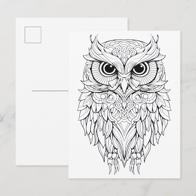 Owl doodle drawing.  postcard (Front/Back)