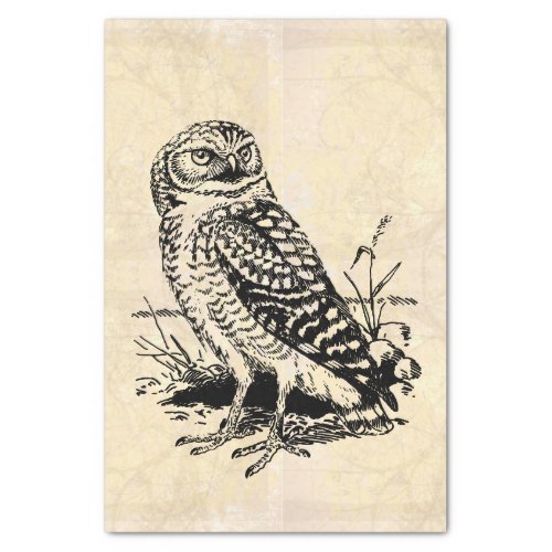Owl Drawing Decoupage Tissue Paper