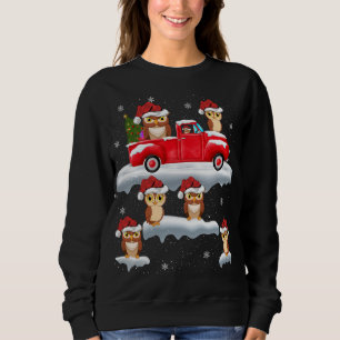 Owl Driving Christmas Tree Red Truck Owl Christmas Sweatshirt