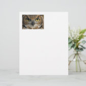 Owl Eyes (Standing Front)