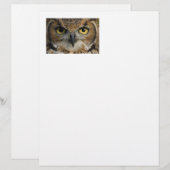 Owl Eyes (Front/Back)