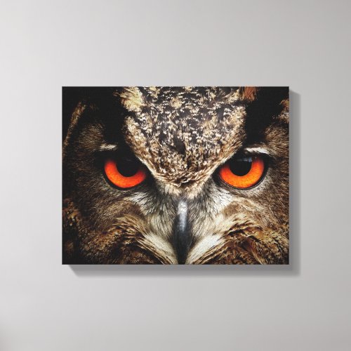 Owl eyes canvas print