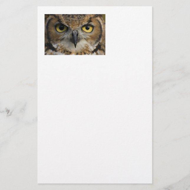 Owl Eyes Stationery (Front)