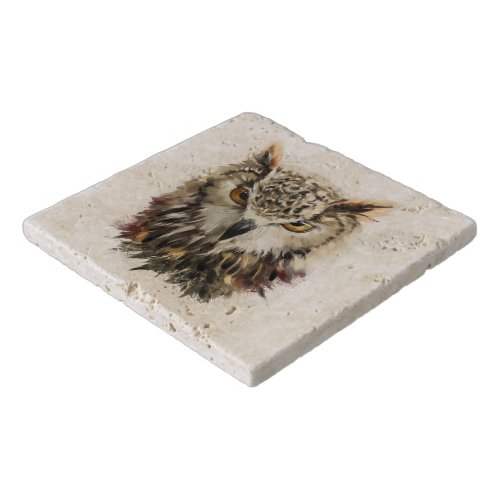 Owl Face Grunge Stone Trivets