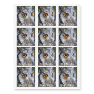 OWL face Temporary Tattoos