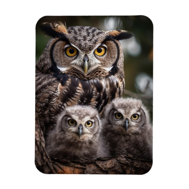 Owl Family Flexible Photo Magnet (Vertical)
