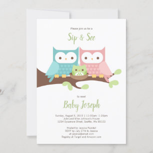Owl Family Sip and See Invitation
