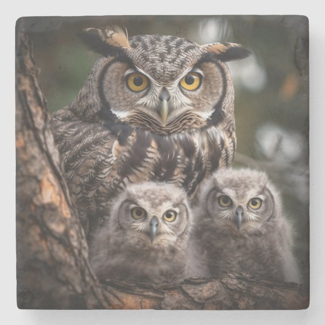 Owl Family Stone Coaster (Front)
