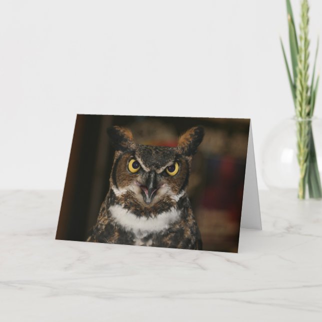 Owl Father's Day Card (Front)