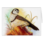 Owl Finches Realistic Painting Realistic Painting Greeting Card