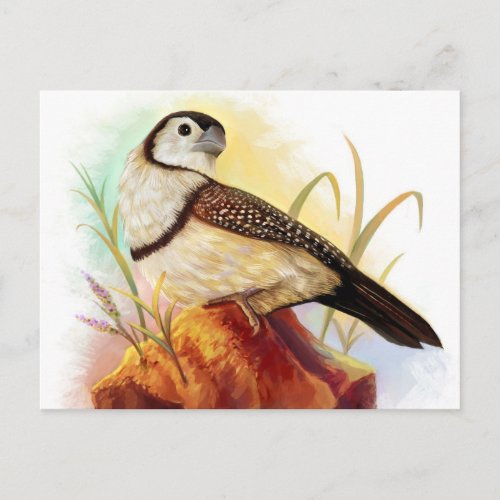 Owl finches realistic painting postcard