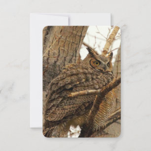 Owl Flat Notecard