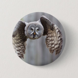 owl flying animal feathers bird park forest birds pinback button