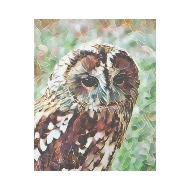 OWL GALLERY WRAP (Front)