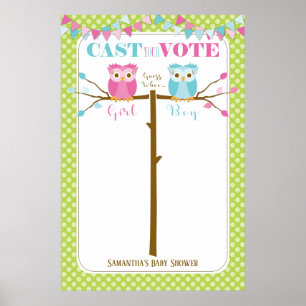 Owl Gender Reveal Baby Shower Voting Game Poster
