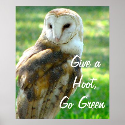 Owl Give A Hoot Poster