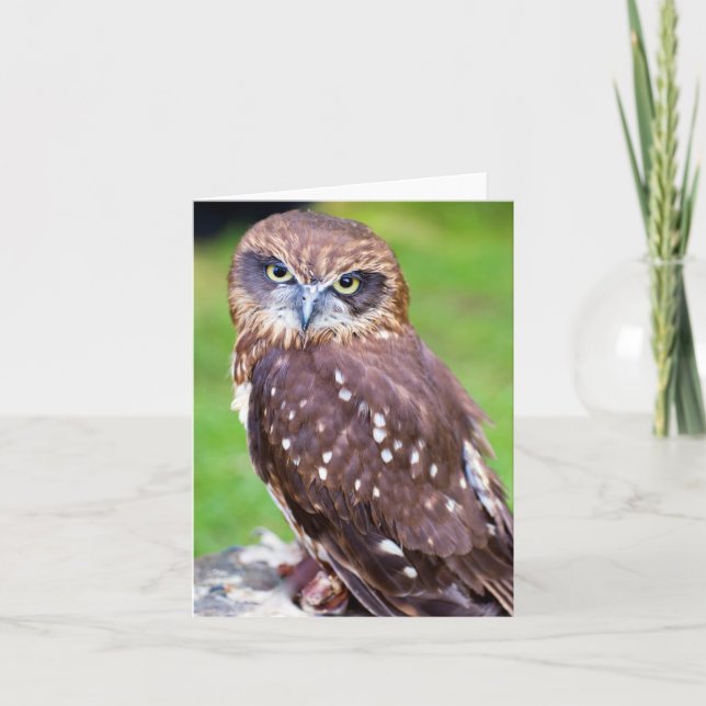 Owl Greeting card (Front)