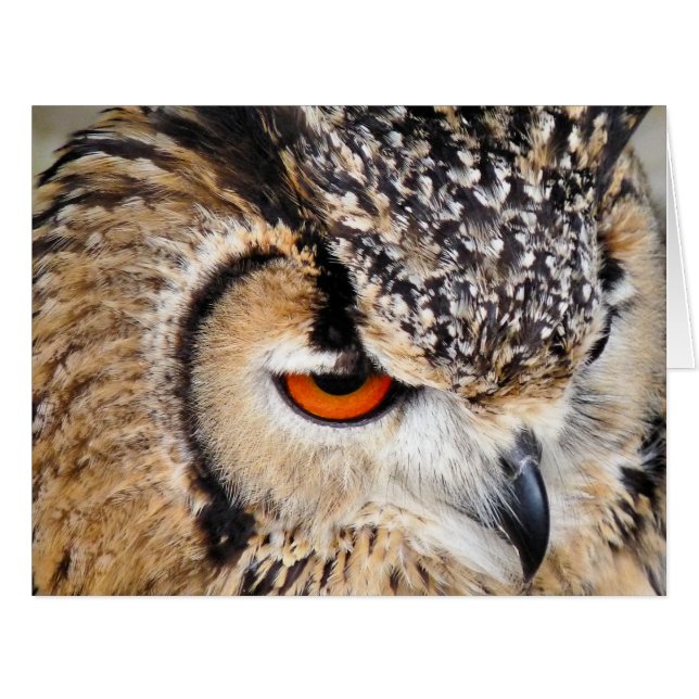 OWL GREETING CARD (Front Horizontal)